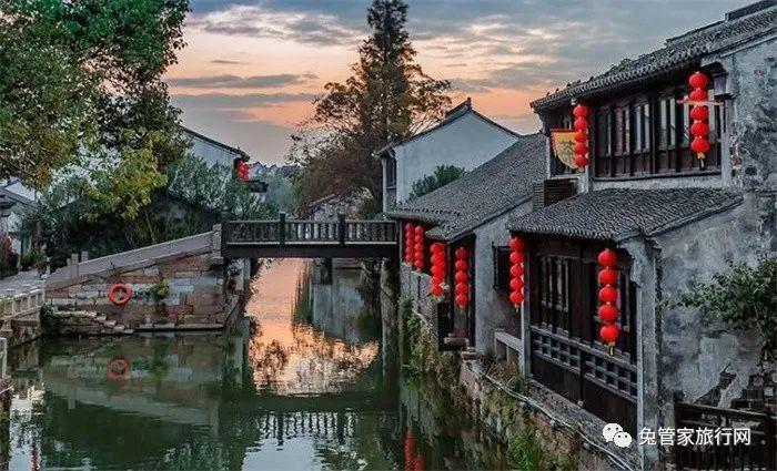 虎胆熊威3